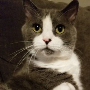 Meet your Posher, Valerie